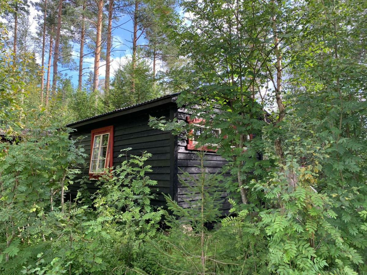 Fossumsanden Camping Og Hytter Fyresdal Ngoại thất bức ảnh