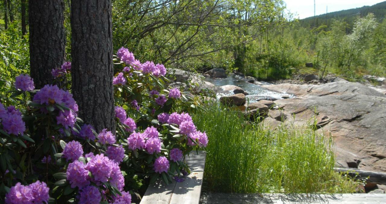 Fossumsanden Camping Og Hytter Fyresdal Ngoại thất bức ảnh